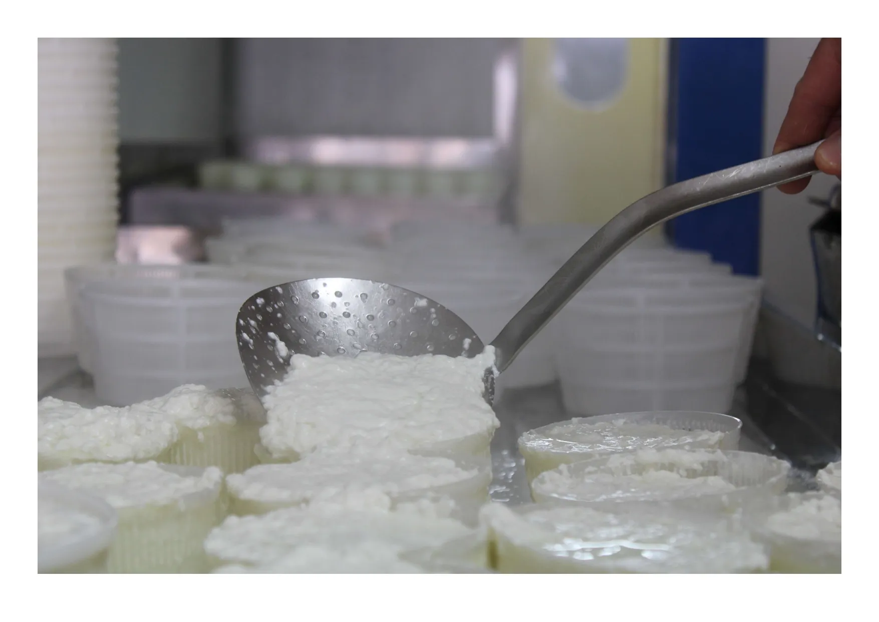 Fromagerie image fromage