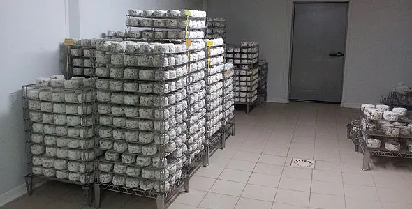 Fromagerie image fromages